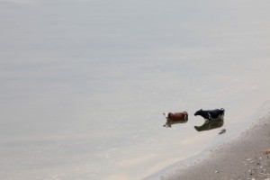 фотопоход, печенежское